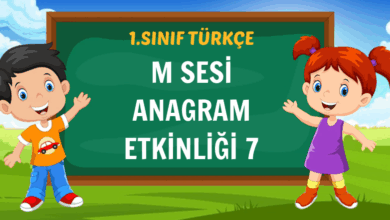 m sesi