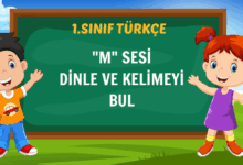 "M" SESİ DİNLE VE KELİMEYİ BUL
