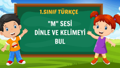 "M" SESİ DİNLE VE KELİMEYİ BUL