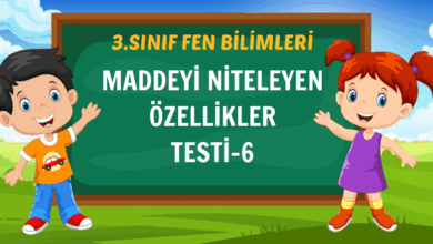 maddeyi niteleten özellikler