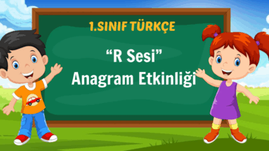 r sesi