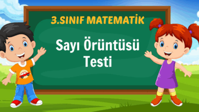 sayı örüntüsü