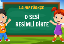 1.SINIF D SESİ RESİMLİ DİKTE