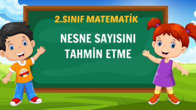 2. SINIF NESNE SAYISINI TAHMİN ETME