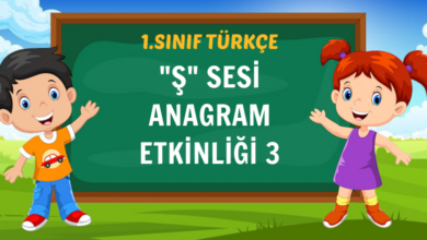 "Ş" SESİ ANAGRAM ETKİNLİĞİ 3