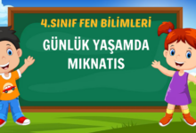 4. SINIF GÜNLÜK YAŞAMDA MIKNATIS