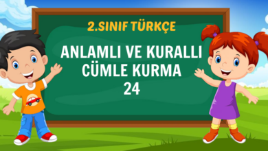 ANLAMLI VE KURALLI CÜMLE KURMA-24