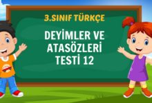 DEYİMLER VE ATASÖZLERİ TESTİ 12