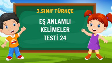 EŞ ANLAMLI KELİMELER TESTİ 24