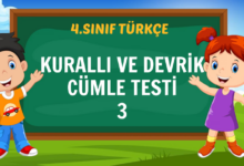 KURALLI VE DEVRİK CÜMLE TESTİ 3
