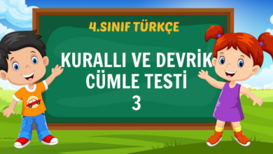 KURALLI VE DEVRİK CÜMLE TESTİ 3