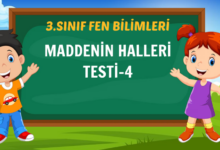 MADDENİN HALLERİ TESTİ-4