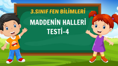 MADDENİN HALLERİ TESTİ-4