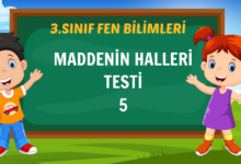 MADDENİN HALLERİ TESTİ-5