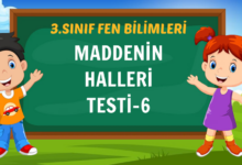 MADDENİN HALLERİ TESTİ-6