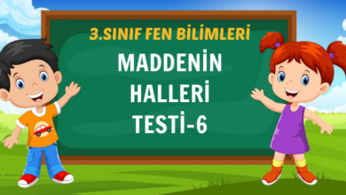 MADDENİN HALLERİ TESTİ-6