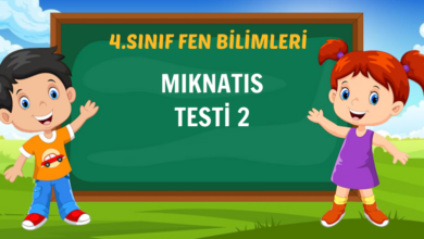 MIKNATIS TESTİ 2