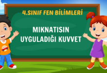 MIKNATISIN UYGULADIĞI KUVVET