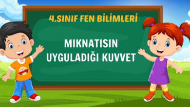 MIKNATISIN UYGULADIĞI KUVVET