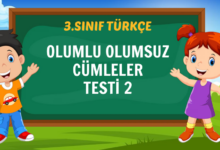 OLUMLU OLUMSUZ CÜMLELER TESTİ 2