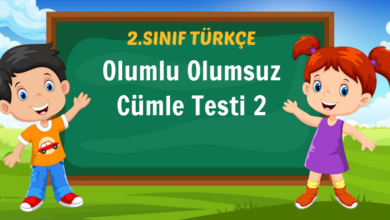 Olumlu Olumsuz Cümle Testi 2