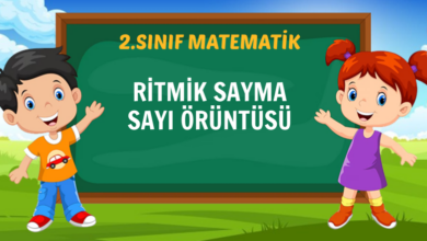 RİTMİK SAYMA SAYI ÖRÜNTÜSÜ