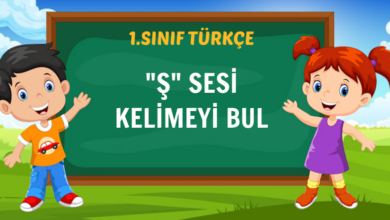 Ş SESİ KELİMEYİ BUL