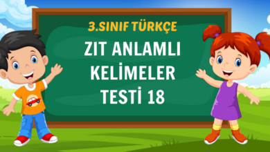 ZIT ANLAMLI KELİMELER TESTİ 18