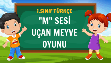 m sesi uçan meyve