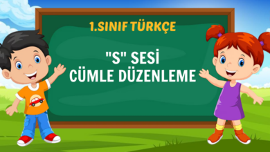 s harfi cümle düzenleme