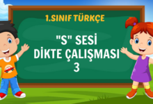 s sesi