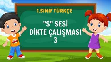 s sesi