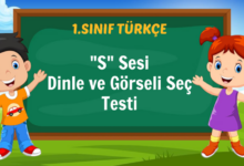s sesi dinle
