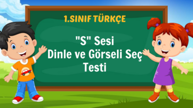 s sesi dinle