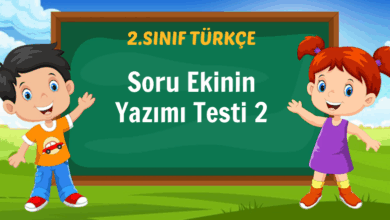 Soru Ekinin Yazımı Testi 2