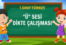1. SINIF "Ü" SESİ DİKTE ÇALIŞMASI
