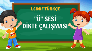 1. SINIF "Ü" SESİ DİKTE ÇALIŞMASI