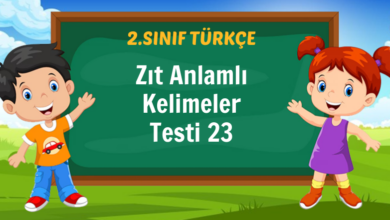 zıt anlamlı kelimeler