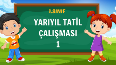 1. SINIF YARIYIL TATİL ÇALIŞMASI 1