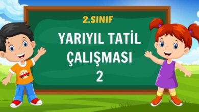 2.SINIF YARIYIL TATİL ÇALIŞMASI 2