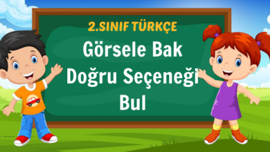 Görsele Bak Doğru Seçeneği Bul
