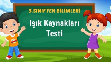 Işık Kaynakları Testi