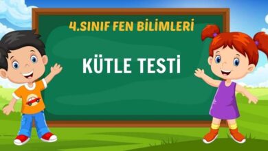 KÜTLE TESTİ