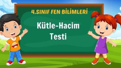 Kütle-Hacim Testi