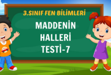 MADDENİN HALLERİ
