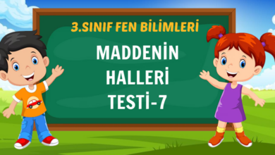 MADDENİN HALLERİ