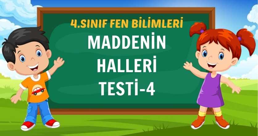 MADDENİN HALLERİ TESTİ-4