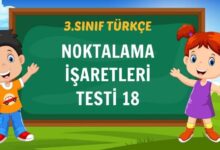 NOKTALAMA İŞARETLERİ TESTİ 18