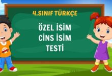 ÖZEL İSİM CİNS İSİM TESTİ