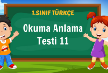 Okuma Anlama